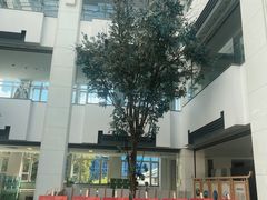 -苏州图书馆(人民路总馆)