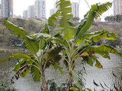 -重庆彩云湖湿地公园
