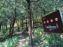 -北京十三陵国家森林公园蟒山景区