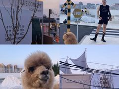 -Blue Concept Cafe&Farm·關於藍