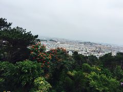 -仙岳公园