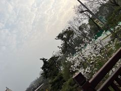 -武汉园博园(武汉自然博物馆)