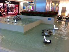-鹏欣水游城