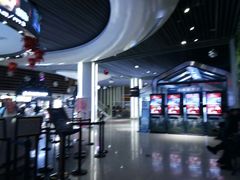 -奥斯卡升龙国际影城(RealD Cinema)