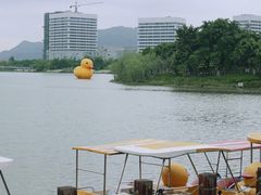 -琅岐红光湖公园