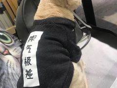 -小时光咖啡馆(开森度假森林店)