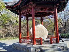 -元大都城垣遗址公园