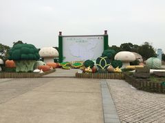 -上海都市菜园