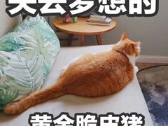 -囿面传统制面馆(中央路店)