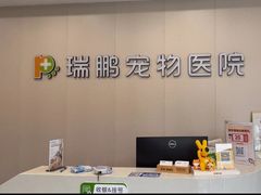 -瑞鹏宠物医院·骨科·猫科·内科(第一中心)