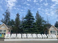 -日照海滨国家森林公园