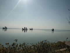 -贡湖湾湿地公园