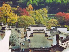 -塔川景区
