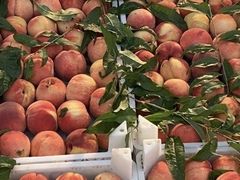 -何庄子阿米玛玛农产品批发市场