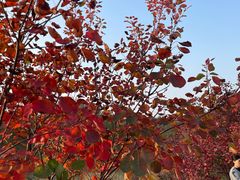 -青州市云门山风景区