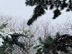 -香山公园