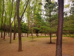 -森林公园(尖草坪区)