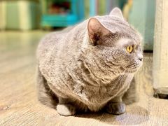 -小时光咖啡馆(开森度假森林店)
