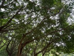 -华南师范大学(广州大学城校区)