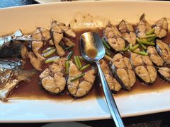 -浩运·海鲜青岛菜·海胆水饺(石老人店)