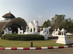 -清迈夜间动物园