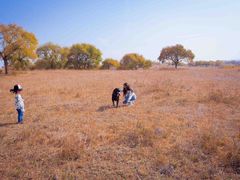 -塞罕坝国家级自然保护区