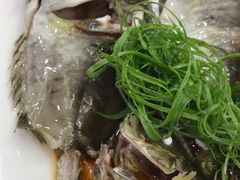 泥猛鱼-万山楼海鲜酒家·二十三年老字号