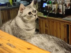 -隅cafe(傅厚岗店)