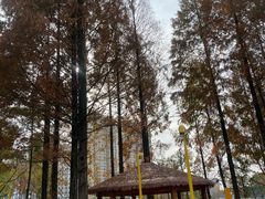 -宁波儿童公园(鄞州区)