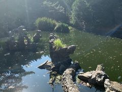 -叶家花园