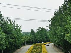 -紫颐香薰山谷景区