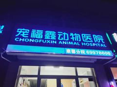 -宠福鑫康馨动物医院·骨科·眼科
