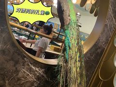 -雀蓝川菜(奥体广场店)