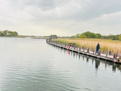 -苏州太湖湖滨国家湿地公园