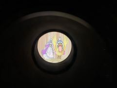 -东京塔海贼王主题公园