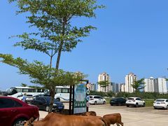 -中国（海南）南海博物馆