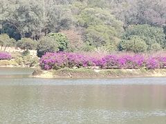 -南国桃园旅游度假区