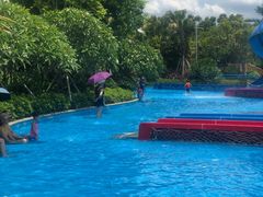 -美的鹭湖探索王国