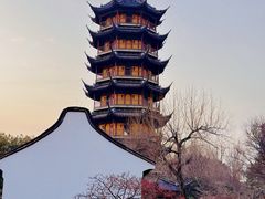 -红梅公园
