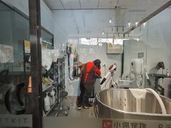 -PETKIT 小佩宠物·德文赛凯猫舍