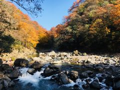 -光雾山旅游景区