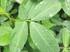 -湖南工业大学(主校区（河西校区）)