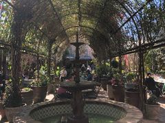 -The Grounds of Alexandria
