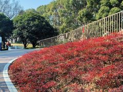 -宁波儿童公园(鄞州区)