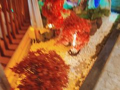 -小天厨民间菜馆(深圳街店)