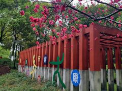 -重庆彩云湖湿地公园