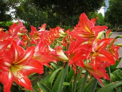 -白塘生态植物园