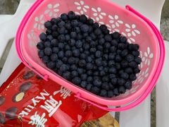 -金谷域澳洲庄园