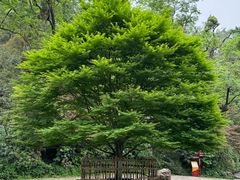 -岳麓山风景名胜区