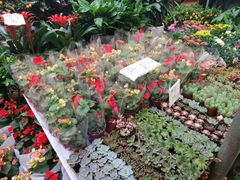 -秦美花卉(天朗·莱茵小城2期店)